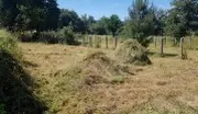 DESBROCE DE FINCAS segovia Limpieza de terrenos segovia
